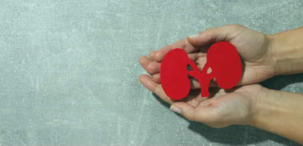 Kidney Transplantation