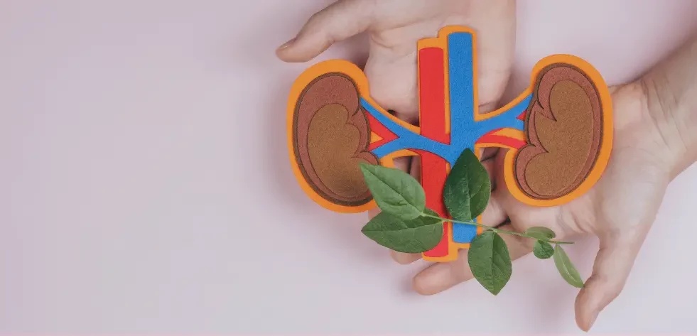 Urology